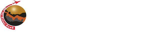描述